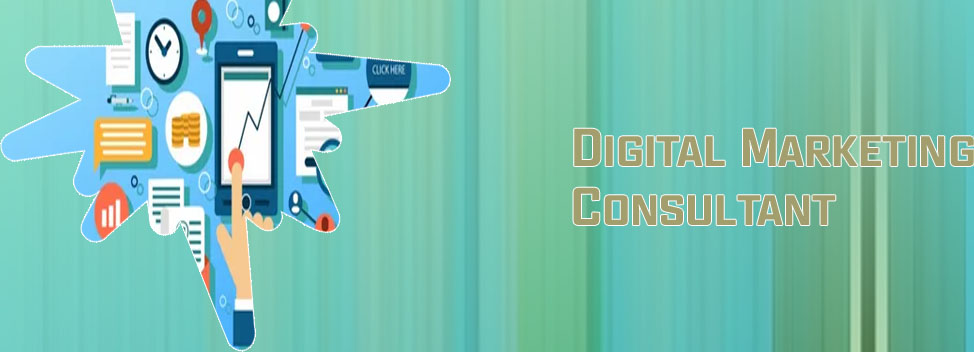 Digital marketing consultant