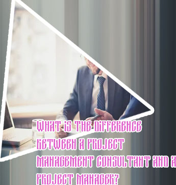 It project manager consultant