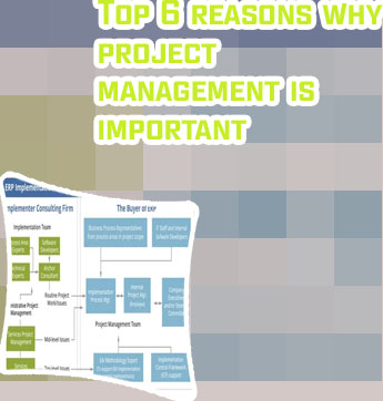 It support project management