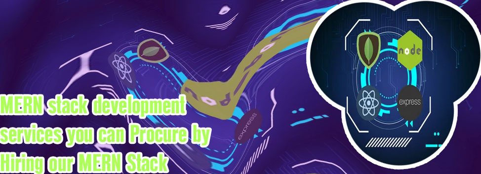 Mern stack developer