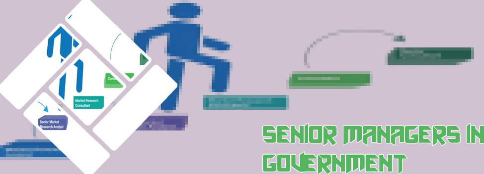 Senior it manager
